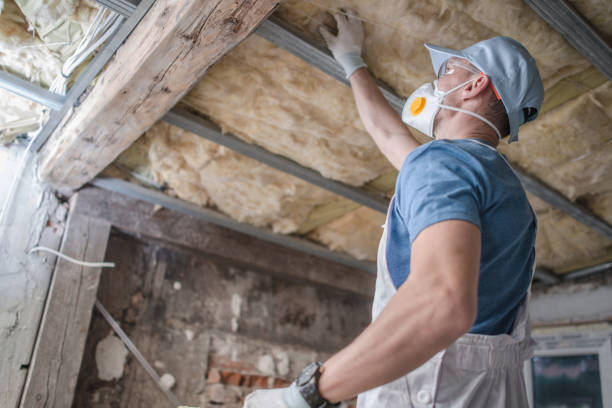 Types of Insulation We Offer in Marvell, AR